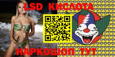 шишки Бузулук