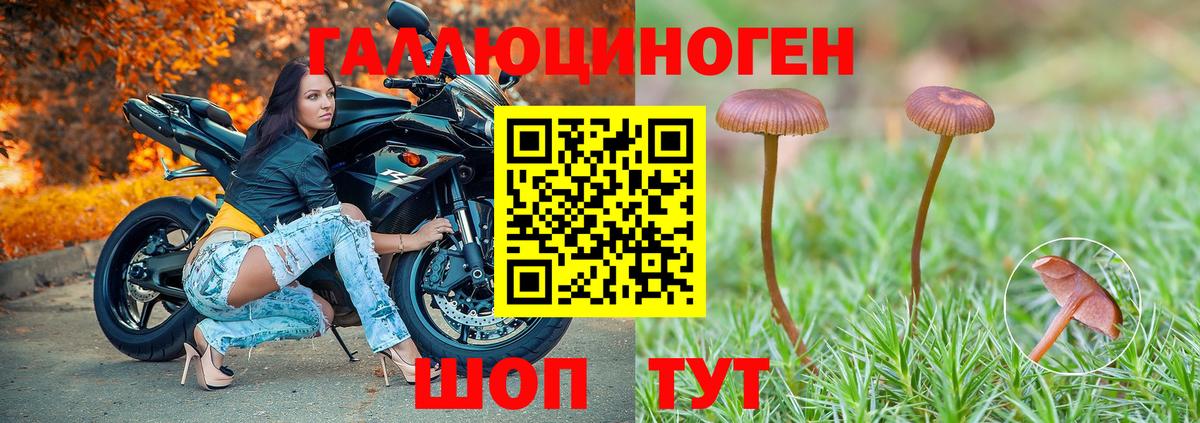 Псилоцибиновые грибы ЛСД  Псилоцибиновые грибы прущие грибы  Топки  Вход с VPN 